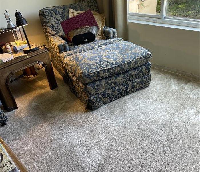 Carpet after cleaning 