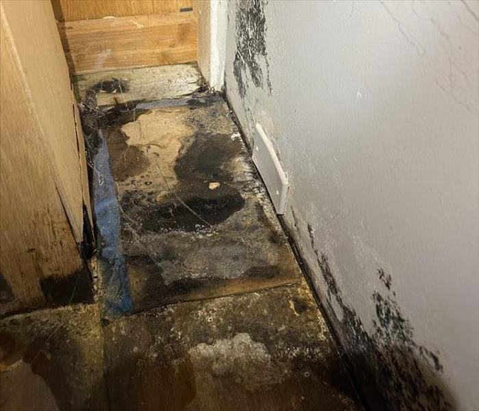 Mold/Water Damage caused by Icemaker