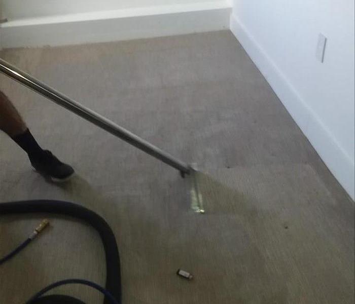 Carpet cleaning  