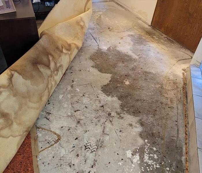 Carpet damage 