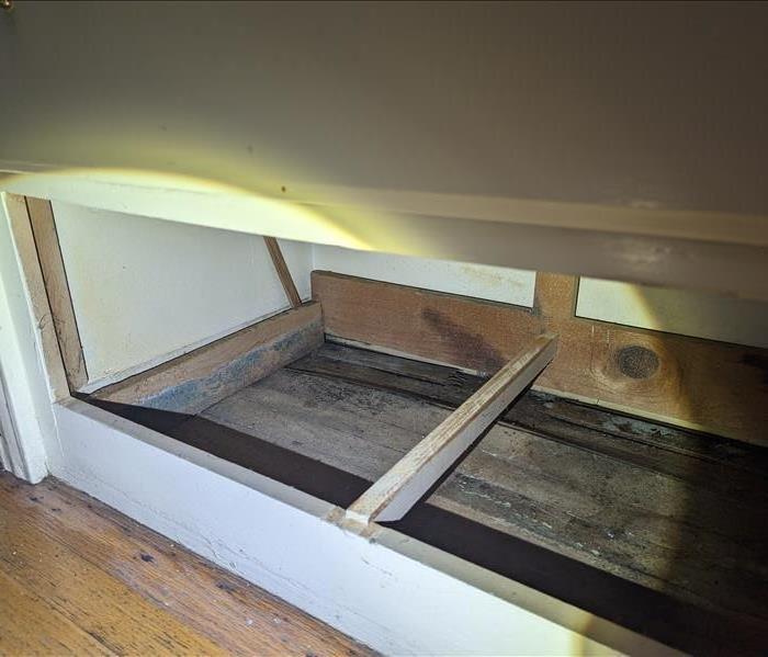 Mold inside the cabinet